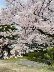 功山寺(山口県)