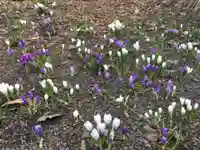 錦山天満宮の自然