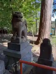 金沢八幡神社の狛犬