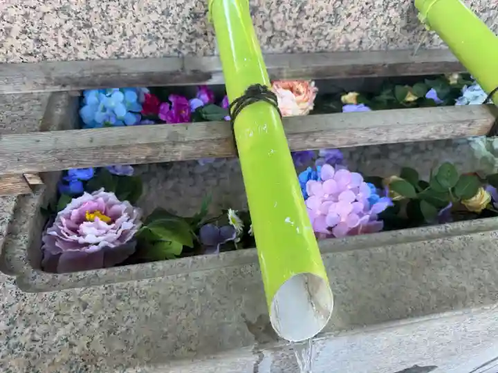 伊勢崎神社の{uncategorized: "未分類", other: "その他", undefined: "問題あり", building: "その他建物", grave: "お墓", sacred_gate: "鳥居", guardian: "狛犬", statue: "像", buddha: "仏像", history: "歴史", nature: "自然", garden: "庭園", animal: "動物", pagoda: "塔", temizu: "手水舎", mountain_gate: "山門・神門", sanctuary: "本殿・本堂", subordinate: "末社・摂社", art: "芸術", scenery: "景色", jizo: "地蔵", ema: "絵馬", goshuin: "御朱印", omikuji: "おみくじ", items: "授与品その他", amulet: "お守り", goshuincho: "御朱印帳", eats: "食事", festival: "お祭り", votive_dance: "神楽", shichigosan: "七五三参", wedding: "結婚式", experience: "体験その他", initially: "初詣", around: "周辺", anti_infection: "感染症対策"}