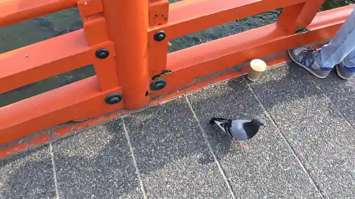 神泉苑(京都府)