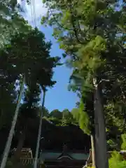 山王神社の建物その他