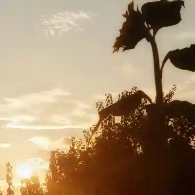 鈴置神社(矢合)の景色