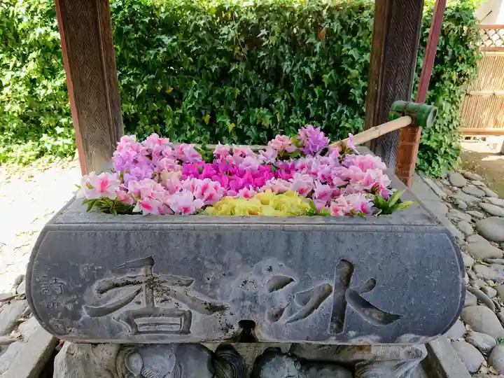 於菊稲荷神社の手水舎