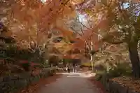 国宝 長寿寺(滋賀県)