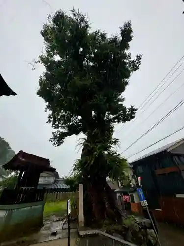 三国神社(福井県)