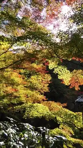 吟松寺のその他建物