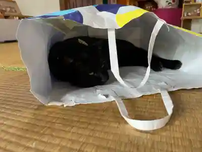 高司神社〜むすびの神の鎮まる社〜(福島県)