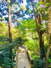 猿田神社の建物その他