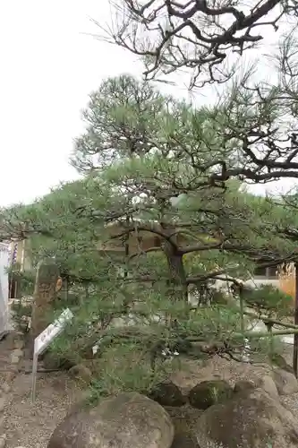 和田神社の庭園