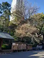 乃木神社の建物その他