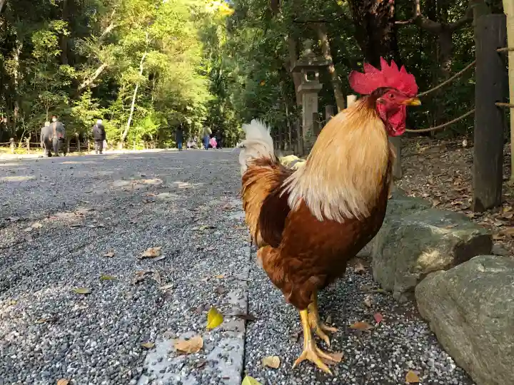 熱田神宮(愛知県)