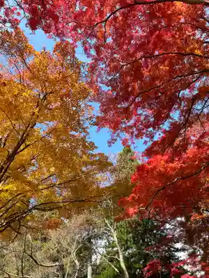 土津神社｜こどもと出世の神さま(福島県)