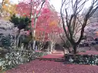 鶏足寺(滋賀県)