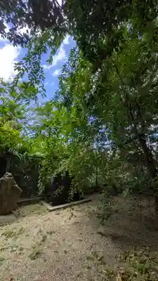 安居神社(大阪府)