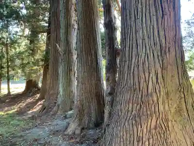 五龍地神社(福島県)