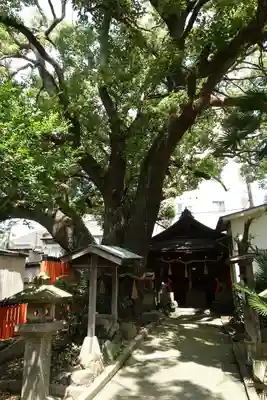 末廣稲荷神社のその他建物