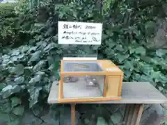 東郷神社の建物その他