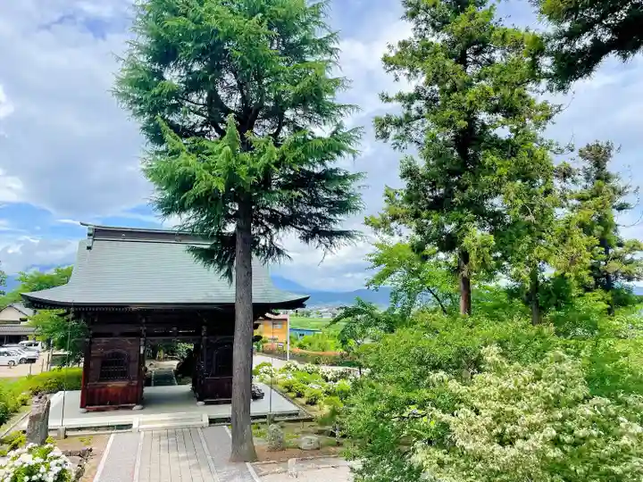 岩松院(長野県)