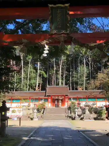 大原野神社の本殿・本堂