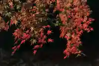 田村神社の景色