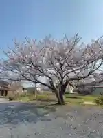 寶光寺(埼玉県)