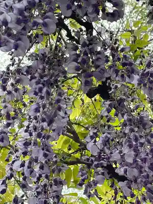 東長谷寺　薬王院(東京都)