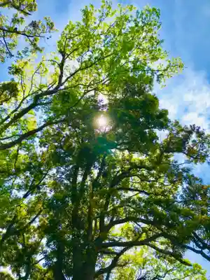 愛宕神社の自然