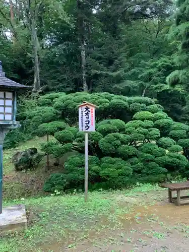 達谷西光寺の庭園