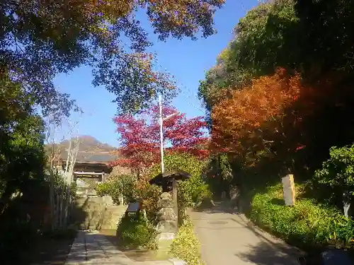 海蔵寺の景色