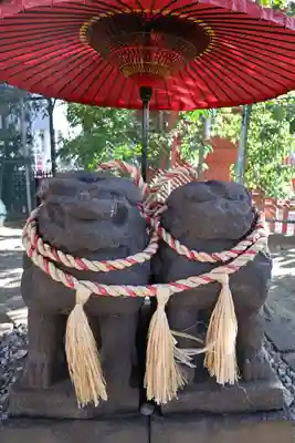 浅草神社の狛犬