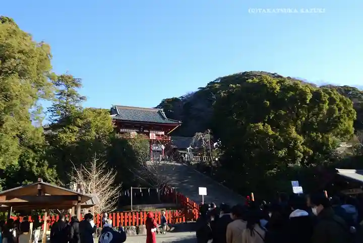 鶴岡八幡宮(神奈川県)