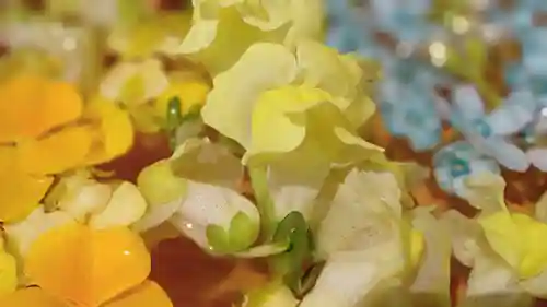 阿邪訶根神社の手水舎