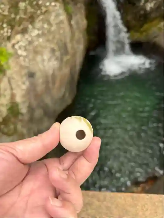丹生川上神社(中社)(奈良県)