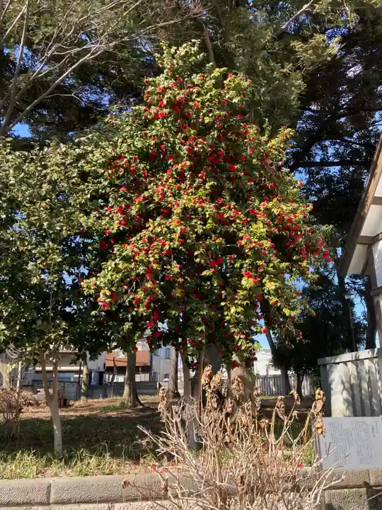 尉殿神社の自然