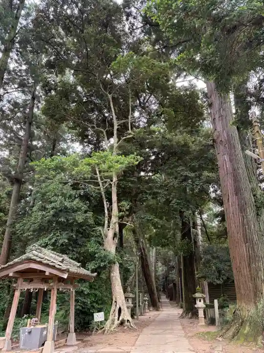 日吉神社の{uncategorized: "未分類", other: "その他", undefined: "問題あり", building: "その他建物", grave: "お墓", sacred_gate: "鳥居", guardian: "狛犬", statue: "像", buddha: "仏像", history: "歴史", nature: "自然", garden: "庭園", animal: "動物", pagoda: "塔", temizu: "手水舎", mountain_gate: "山門・神門", sanctuary: "本殿・本堂", subordinate: "末社・摂社", art: "芸術", scenery: "景色", jizo: "地蔵", ema: "絵馬", goshuin: "御朱印", omikuji: "おみくじ", items: "授与品その他", amulet: "お守り", goshuincho: "御朱印帳", eats: "食事", festival: "お祭り", votive_dance: "神楽", shichigosan: "七五三参", wedding: "結婚式", experience: "体験その他", initially: "初詣", around: "周辺", anti_infection: "感染症対策"}