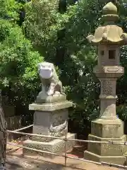 賀露神社の狛犬