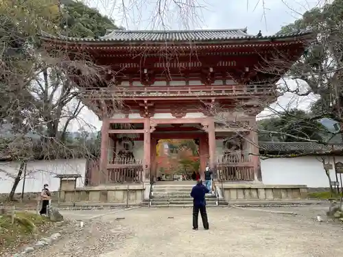 醍醐寺(京都府)