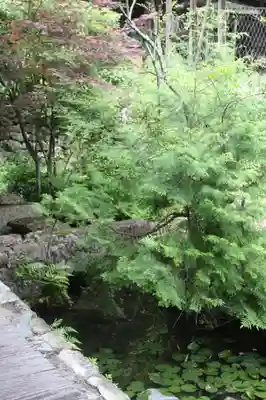 桑實寺(滋賀県)