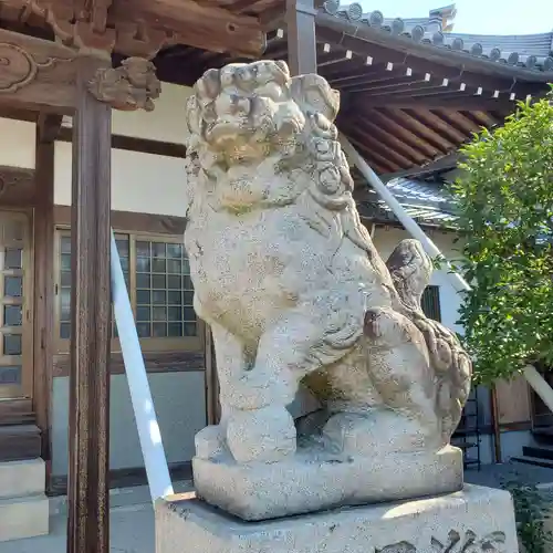 普門寺の狛犬