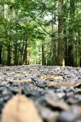 瀧原宮(皇大神宮別宮)(三重県)