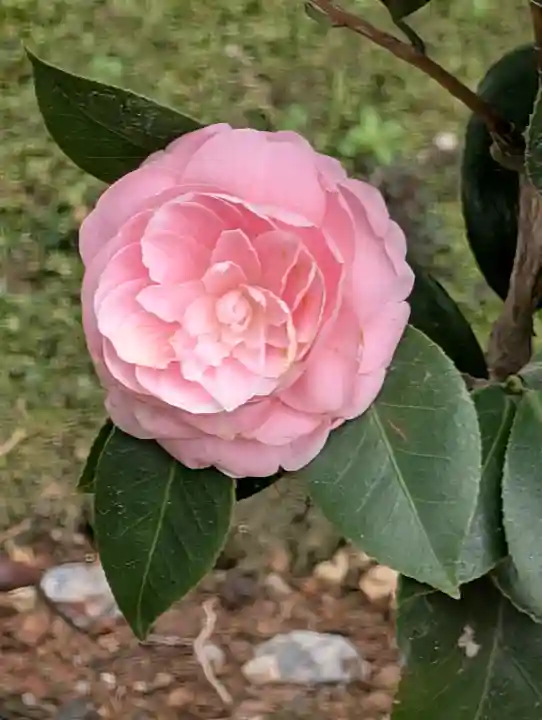 城南宮の{uncategorized: "未分類", other: "その他", undefined: "問題あり", building: "その他建物", grave: "お墓", sacred_gate: "鳥居", guardian: "狛犬", statue: "像", buddha: "仏像", history: "歴史", nature: "自然", garden: "庭園", animal: "動物", pagoda: "塔", temizu: "手水舎", mountain_gate: "山門・神門", sanctuary: "本殿・本堂", subordinate: "末社・摂社", art: "芸術", scenery: "景色", jizo: "地蔵", ema: "絵馬", goshuin: "御朱印", omikuji: "おみくじ", items: "授与品その他", amulet: "お守り", goshuincho: "御朱印帳", eats: "食事", festival: "お祭り", votive_dance: "神楽", shichigosan: "七五三参", wedding: "結婚式", experience: "体験その他", initially: "初詣", around: "周辺", anti_infection: "感染症対策"}