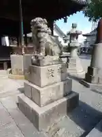 魚吹八幡神社の狛犬