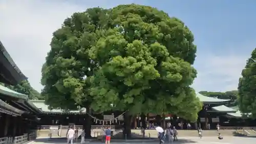 明治神宮の自然