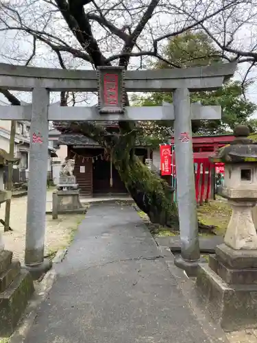 稲荷社（平八稲荷神社）の鳥居