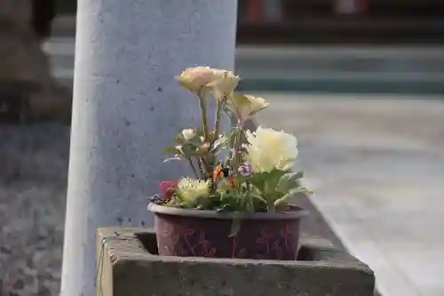 熊野福藏神社の手水舎