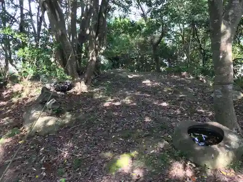 荒磯魚見根神社の自然