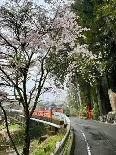 須山浅間神社(静岡県)