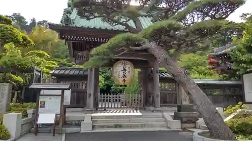 長谷寺の山門・神門