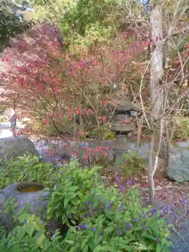 覚園寺の庭園